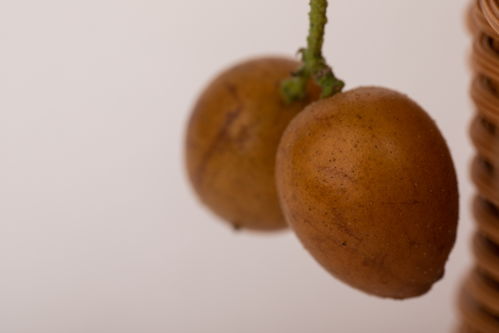 黄皮特写特产夏季水果美食摄影图 摄影